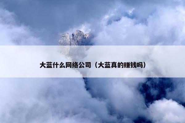大蓝什么网络公司（大蓝真的赚钱吗）