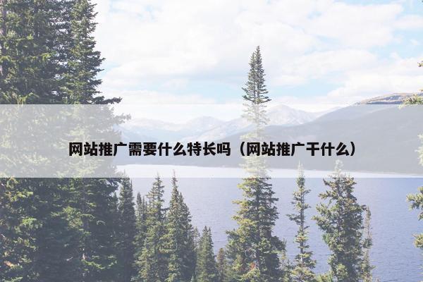 网站推广需要什么特长吗（网站推广干什么）