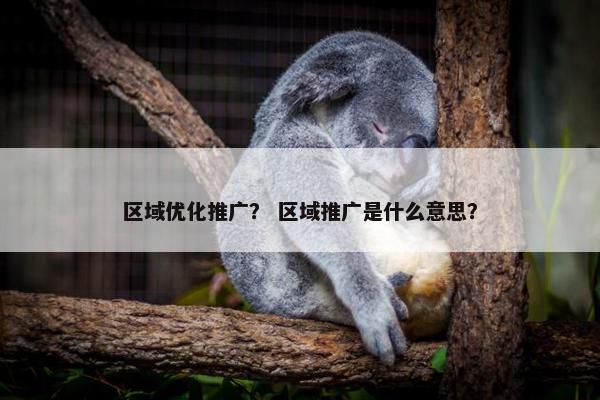 区域优化推广？ 区域推广是什么意思？