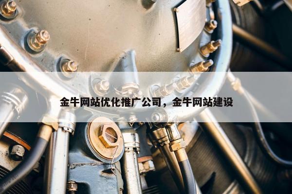 金牛网站优化推广公司，金牛网站建设