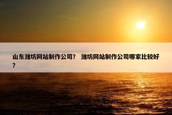 山东潍坊网站制作公司？ 潍坊网站制作公司哪家比较好？