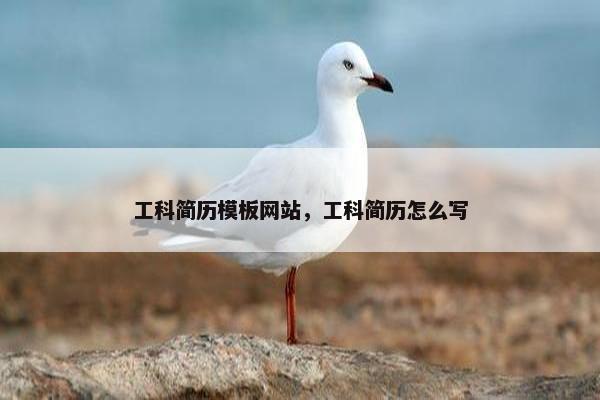 工科简历模板网站，工科简历怎么写