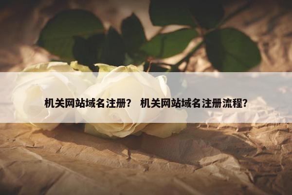 机关网站域名注册？ 机关网站域名注册流程？