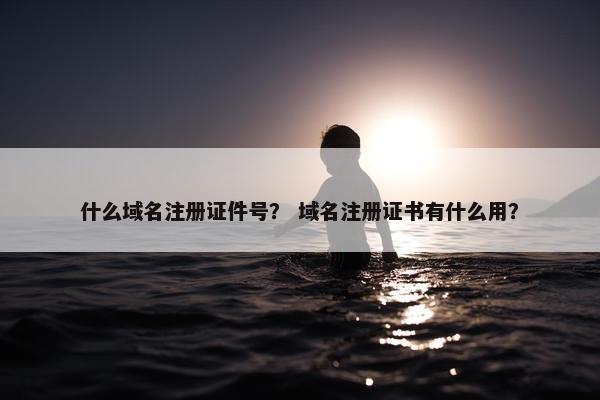 什么域名注册证件号？ 域名注册证书有什么用？