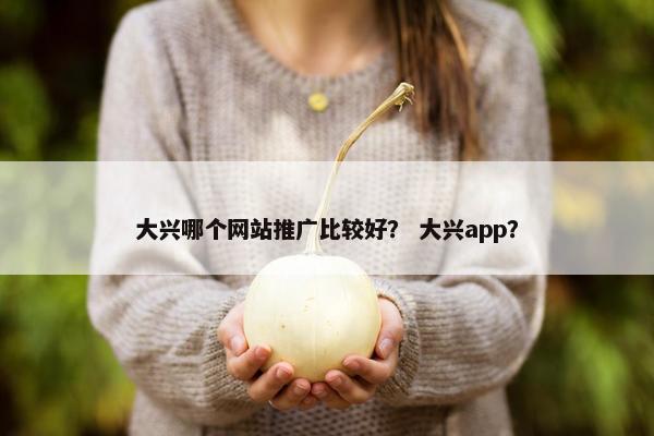 大兴哪个网站推广比较好？ 大兴app？