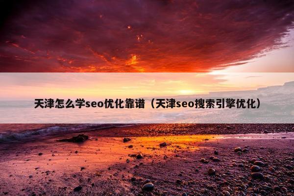 天津怎么学seo优化靠谱（天津seo搜索引擎优化）