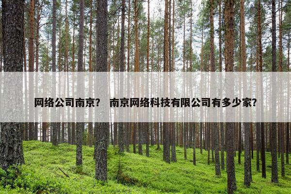 网络公司南京？ 南京网络科技有限公司有多少家？