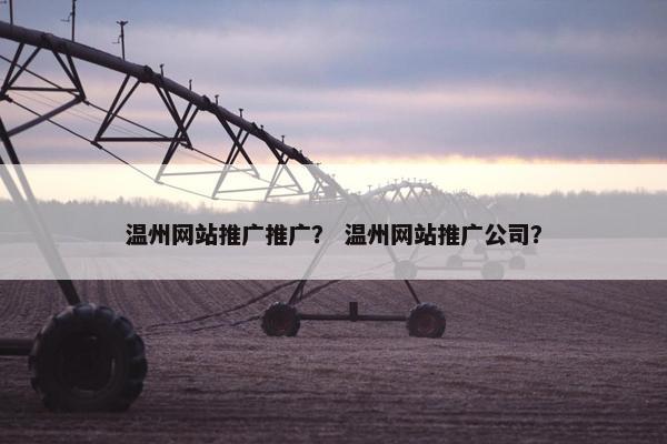 温州网站推广推广？ 温州网站推广公司？