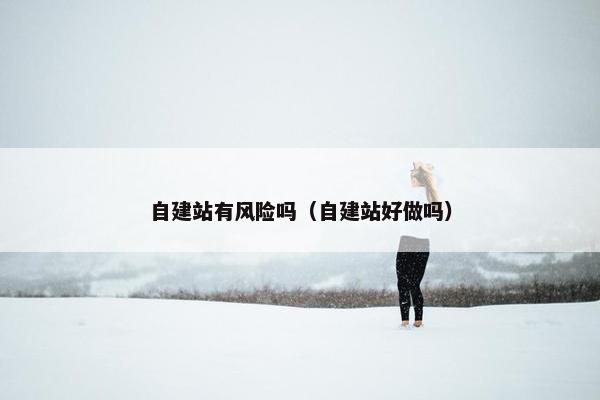 自建站有风险吗（自建站好做吗）