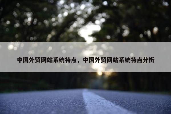 中国外贸网站系统特点，中国外贸网站系统特点分析