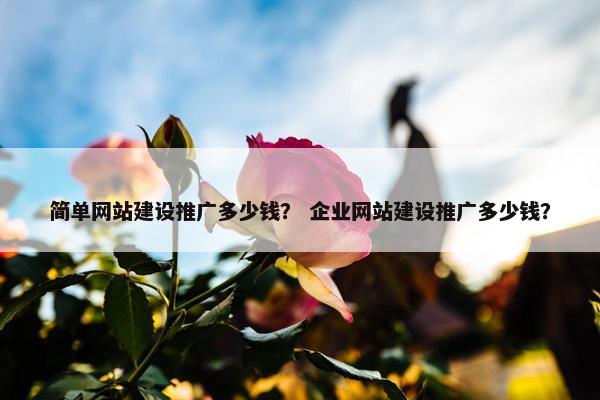 简单网站建设推广多少钱？ 企业网站建设推广多少钱？