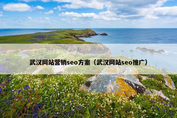武汉网站营销seo方案（武汉网站seo推广）