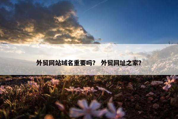 外贸网站域名重要吗？ 外贸网址之家？