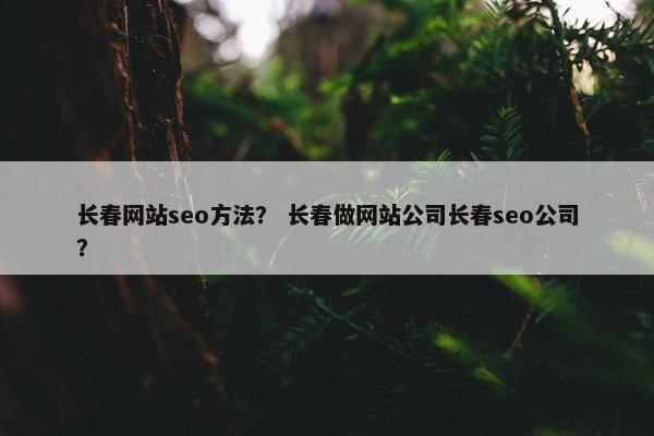 长春网站seo方法？ 长春做网站公司长春seo公司？
