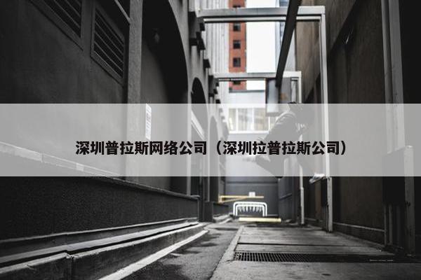 深圳普拉斯网络公司（深圳拉普拉斯公司）