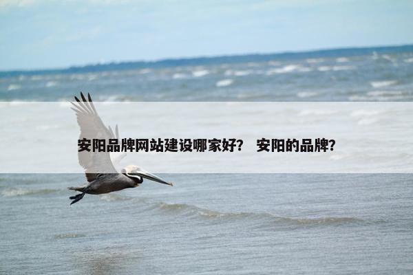 安阳品牌网站建设哪家好？ 安阳的品牌？
