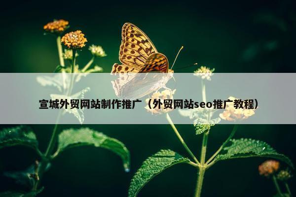 宣城外贸网站制作推广（外贸网站seo推广教程）