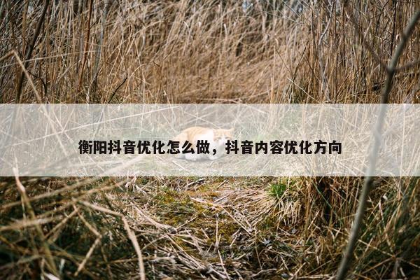 衡阳抖音优化怎么做，抖音内容优化方向