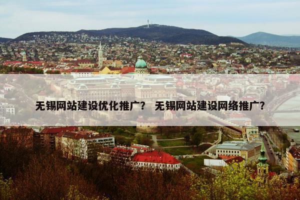 无锡网站建设优化推广？ 无锡网站建设网络推广？