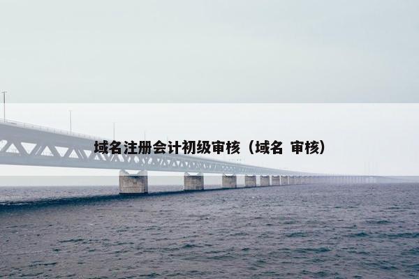 域名注册会计初级审核（域名 审核）