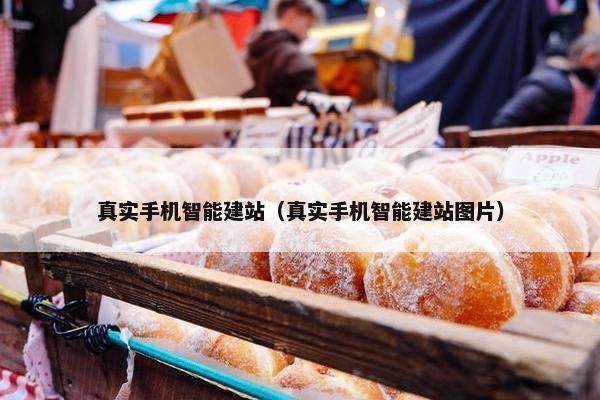 真实手机智能建站（真实手机智能建站图片）