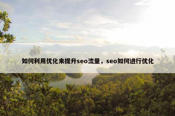 如何利用优化来提升seo流量，seo如何进行优化