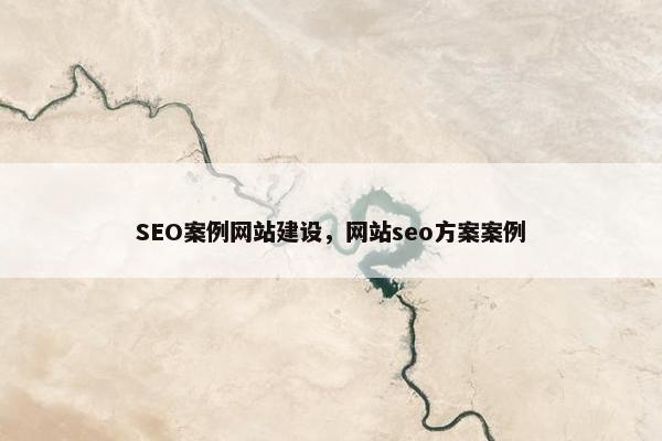 SEO案例网站建设，网站seo方案案例