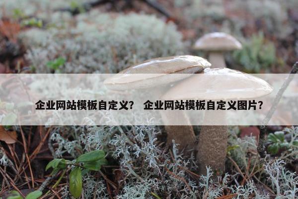 企业网站模板自定义？ 企业网站模板自定义图片？