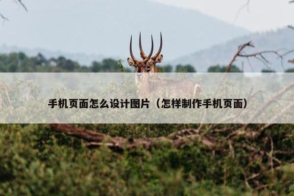 手机页面怎么设计图片（怎样制作手机页面）
