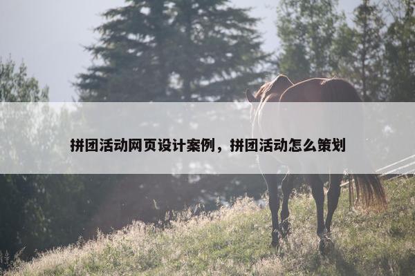 拼团活动网页设计案例，拼团活动怎么策划