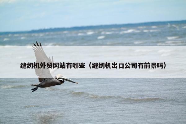 缝纫机外贸网站有哪些（缝纫机出口公司有前景吗）