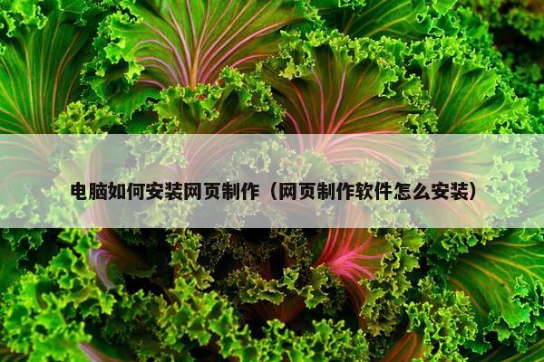电脑如何安装网页制作（网页制作软件怎么安装）