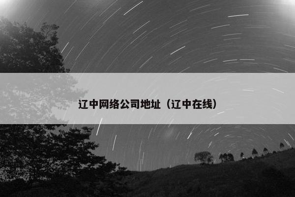 辽中网络公司地址（辽中在线）