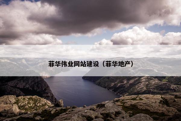 菲华伟业网站建设（菲华地产）