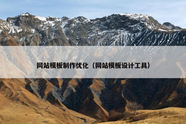 网站模板制作优化（网站模板设计工具）