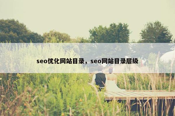 seo优化网站目录，seo网站目录层级