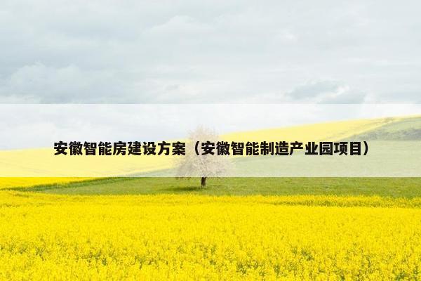 安徽智能房建设方案（安徽智能制造产业园项目）