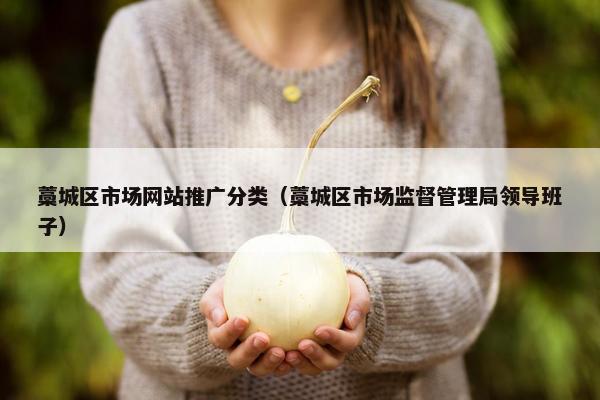 藁城区市场网站推广分类（藁城区市场监督管理局领导班子）