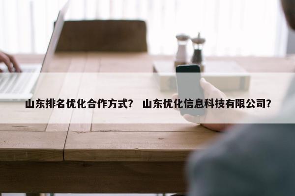 山东排名优化合作方式？ 山东优化信息科技有限公司？