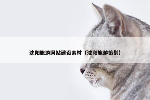 沈阳旅游网站建设素材（沈阳旅游策划）