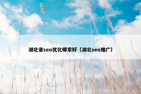 湖北省seo优化哪家好（湖北seo推广）