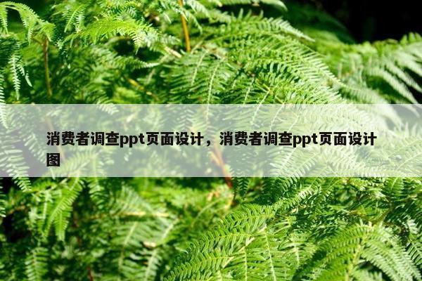 消费者调查ppt页面设计，消费者调查ppt页面设计图