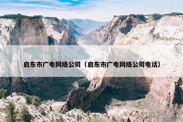 启东市广电网络公司（启东市广电网络公司电话）