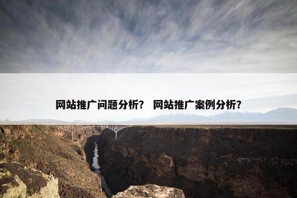 网站推广问题分析？ 网站推广案例分析？