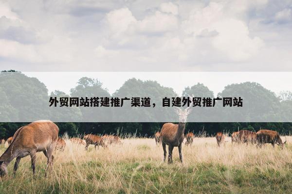 外贸网站搭建推广渠道，自建外贸推广网站