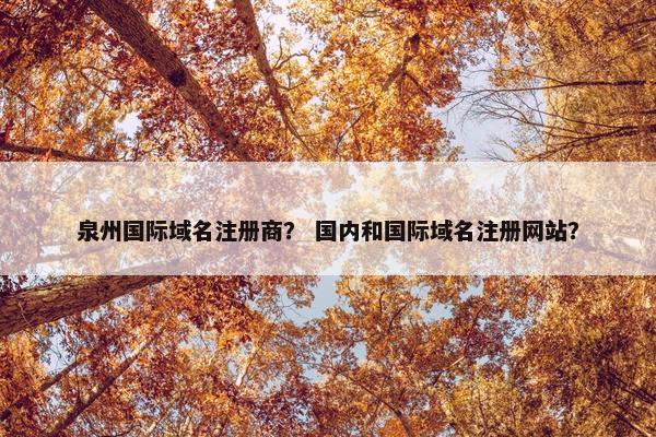 泉州国际域名注册商？ 国内和国际域名注册网站？