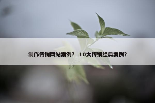 制作传销网站案例？ 10大传销经典案例？