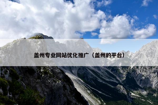 盖州专业网站优化推广（盖州的平台）