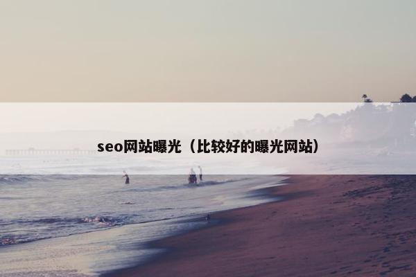 seo网站曝光（比较好的曝光网站）