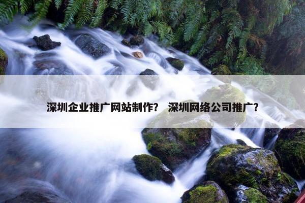 深圳企业推广网站制作？ 深圳网络公司推广？